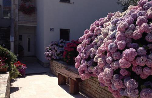 Apartments Nena - Photo 38