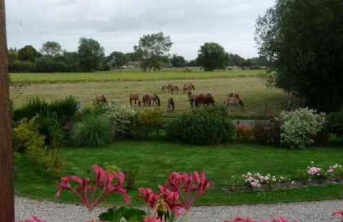 Mil Roses en Baie - Foto 24