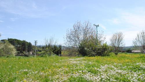 Agriturismo Fattoria di Malavolta - Foto 3, Garden, Garden view