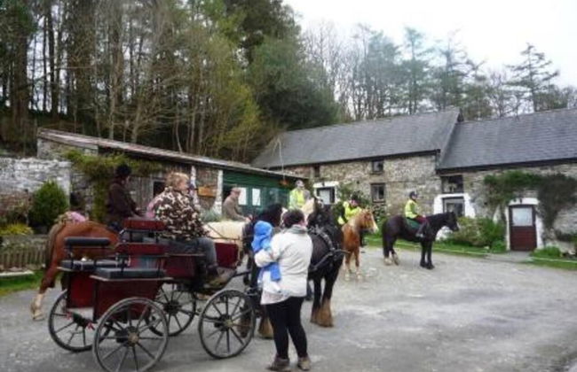 The Mill House at Cwmiar Farm - Relaxing Holidays - Photo 15