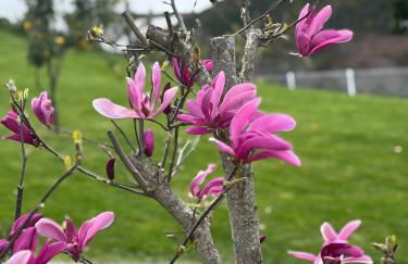 Casa do Beija - Foto 42