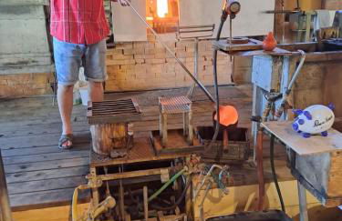 Traumblick Bayerischer Wald, Pool & Sauna, Getränke, Klimaanlage - Foto 65