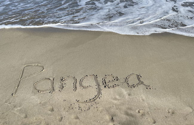 Casa Yamann - Foto 37