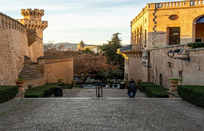 Ultimate Palma Tour: Historic Highlights Palaces, Gardens & Cathedral Tour - Foto 4