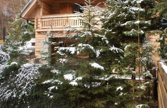 Forest House- dom nad górskim potokiem - Foto 26