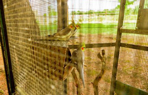 Quinta O Refúgio - Photo 37