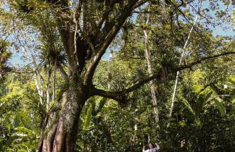 Chalé Suíço - Chalés Belo Monte - Sítio Belo Monte - Foto 40
