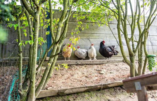 Ferienwohnung Fasse - Foto 28