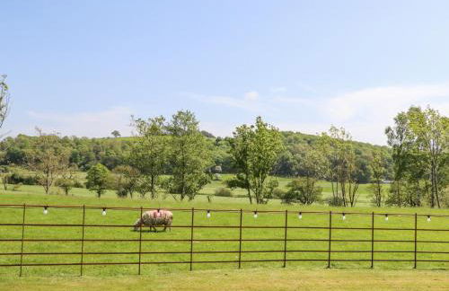 Skirden View - Foto 25