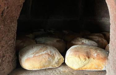 Tropical House - Foto 24