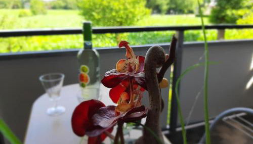 Ferienwohnung Friesoythe mit Ausblick - Foto 5