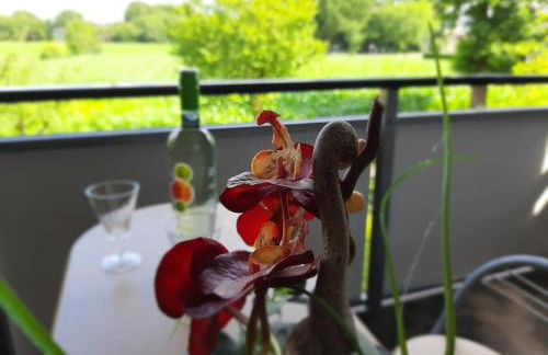 Ferienwohnung Friesoythe mit Ausblick - Foto 5