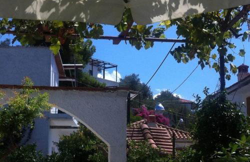 Villa Alexandra - Photo 13