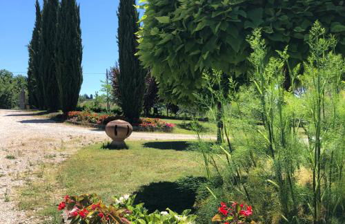 Il Gufo del Chianti - Foto 40