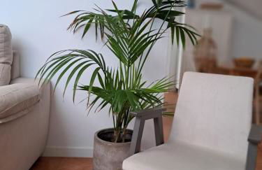 Los Patios. - Foto 24