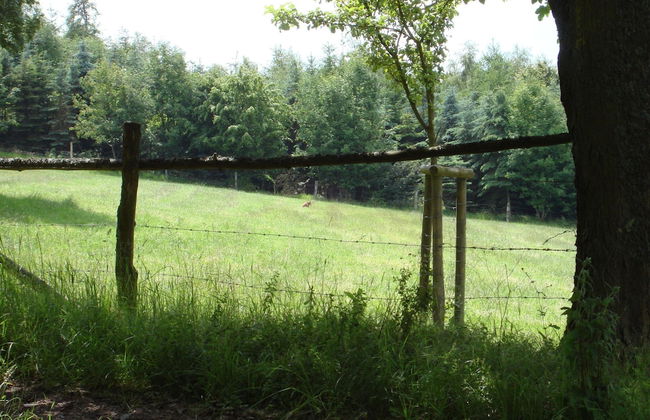 Hillside Cottage Near Winterberg - Foto 24