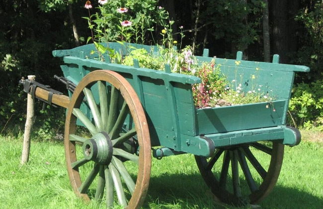 Camping La Vallée Verte - Foto 23