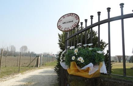 Il Giardino dei Ciliegi appartamento con 3 camere - Foto 13