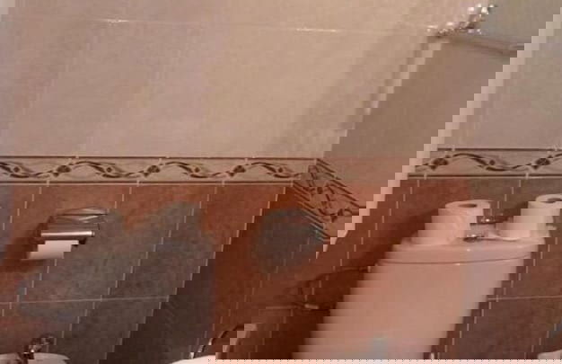 Apartamentos Coronado - Foto 22