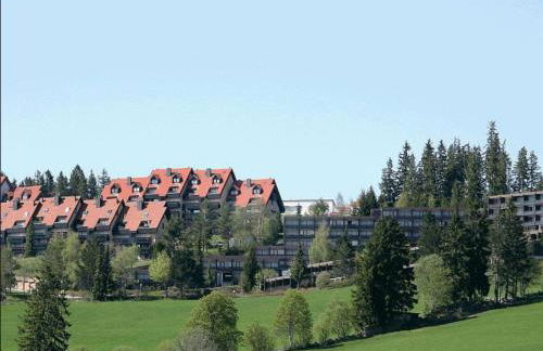 BLACKFOREST LOFT - Panoramablick Schwarzwald - Foto 34