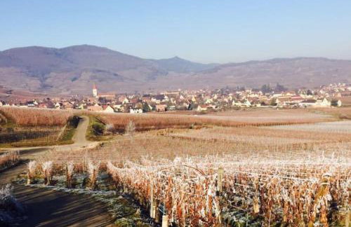 * La Petite Alsacienne * - Foto 6