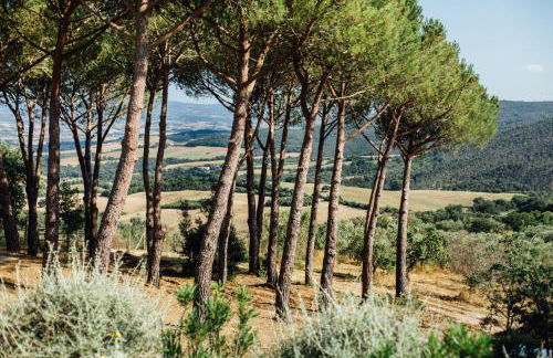 Fontemarinaalta - Foto 43