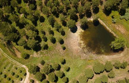 Resort Rural Quinta do Carrascal - Foto 33