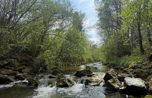 Flussperle Miesbach - Entspannung pur, direkt an der Schlierach, Vollküche, kostenfreies Parken - Foto 11