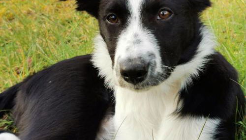 Gîte de charme avec terrasse, proche circuit 24H et zoo de la Flèche, idéal pour 4 pers. - FR-1-410-438 - Foto 3