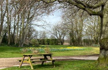 The Mulberry Apartment at Langford Hall - Photo 12