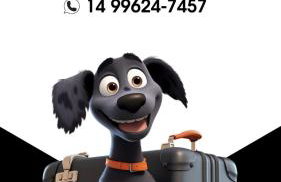 Alliance Hotel - Foto 8