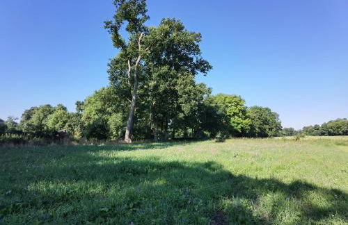 Haus Donata - Foto 28