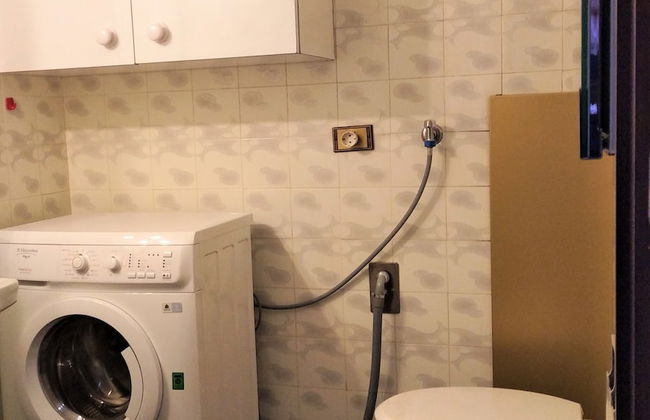 Pettirosso - Photo 18