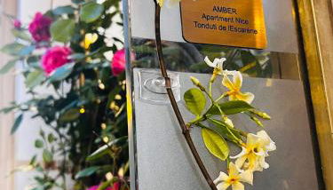 Amber Apartment Nice - Central Highlights and Beach - Foto 1