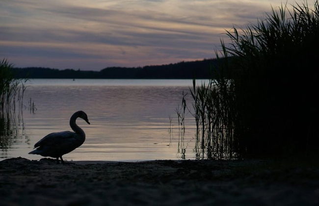 Ferienpark Canow - Photo 35