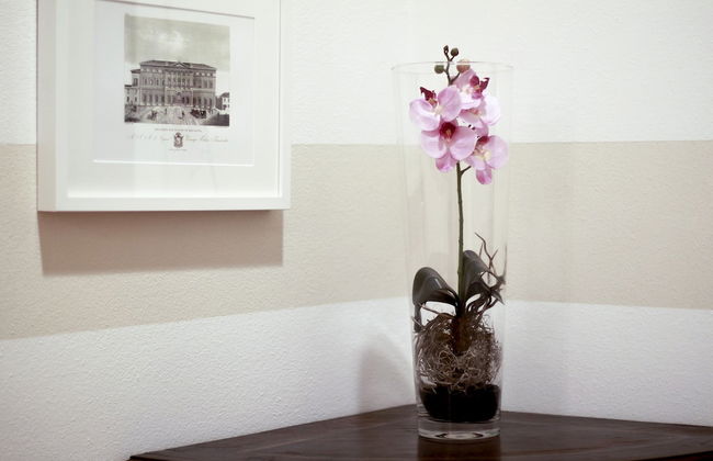 Casa Isolani Piazza Maggiore - Foto 20