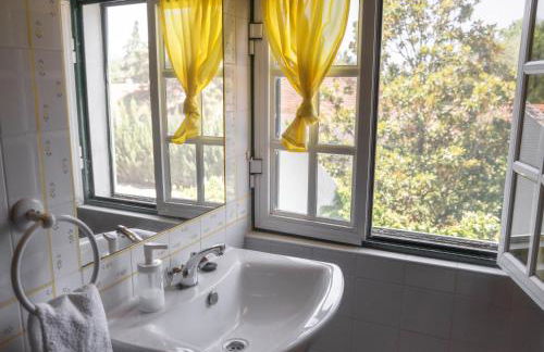 Quinta do Archino - Foto 26