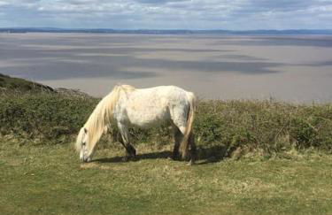 Upper Beeches - Foto 52