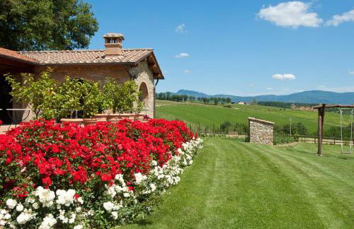 Antico Fio - Foto 22