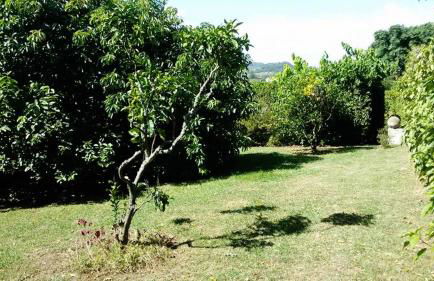 Quinta das Bolas - Photo 59