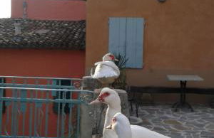 Agriturismo Il Gelso - Foto 23