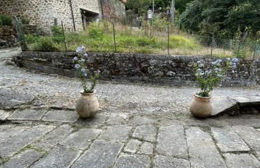 THE DORMOUSE - Il Ghiro - Foto 34