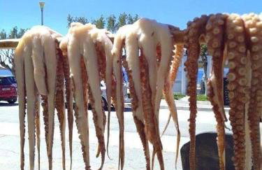 Ilisia Neapoli apartments 2 - Foto 28