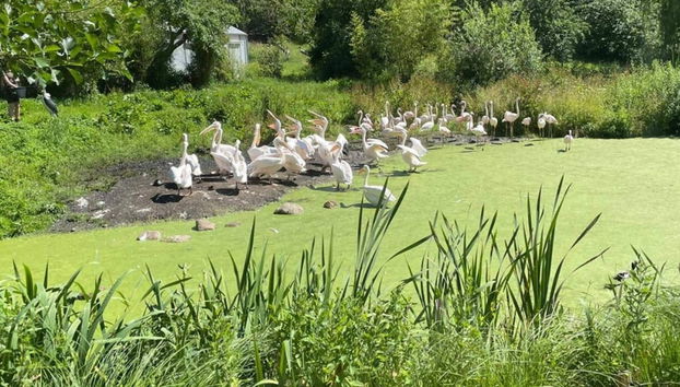 7 Person Holiday Home in Ebeltoft - Foto 5, Miscelánea