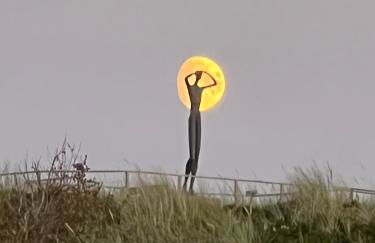 Haus Seeschwalbe Spiekeroog - Wohnung 12 - Foto 11