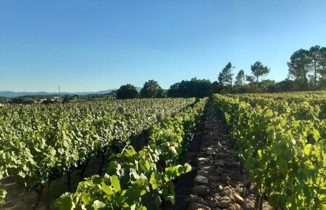 Comfortable Apartment in Lablachere With Terrace in Ardeche - Foto 52