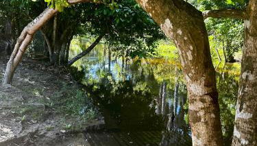 Sítio Encanto do Delta - Foto 3