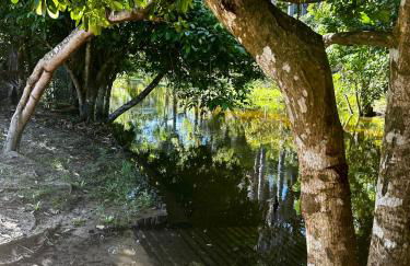 Sítio Encanto do Delta - Photo 3