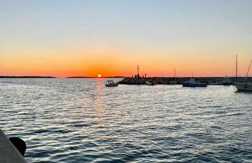 Apartman Dino - Foto 32