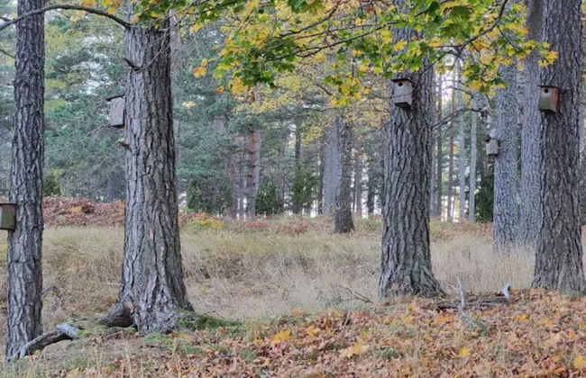 4 Person Holiday Home in Ingaro-by Traum - Photo 15